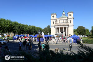 Read more about the article Visszajelzések a közreműködőktől